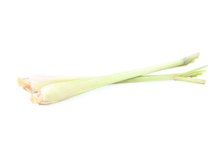 Fresh lemon grass on white background. Cymbopogon citratus.