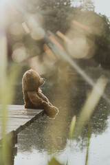 Teddy bear on the masonry