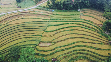 Aerial view of rice terraces forming a pattern