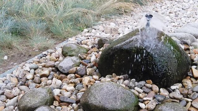 Slow motion meditation video with splashing water from fountain in shape of big round stone localized in city park with ornamental grasses in background