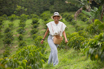 young woman picking up coffee beans in Colombia