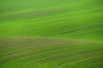 Beautiful spring landscape. Waves on the field - Moravian Tuscany Czech Republic.