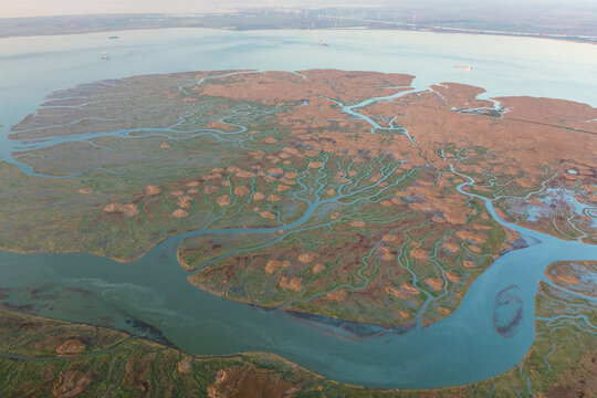 Aerial view of the abstract pattern made by Scheldt river estuaries near Belgium and The Netherlands border, Nieuw-Namen, Zeeland, The Netherlands.
