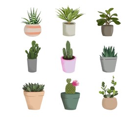 Set of pot flower. Succulent stickers isolated.