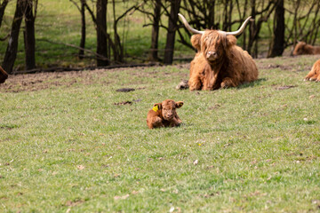 Kaum auf der Welt und schon im Rampenlicht