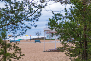 Beach near the pine spruce forest with colored umbrellas , peeping from the forest behind the beach
