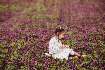 Little girl wearing a cotton dress and rubber boots, sitting in a field with purple flowers.