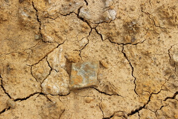Trockenrisse 2