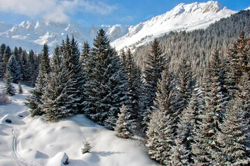 Courchevel 1850 Three Valleys Ski Resort French Alps France
