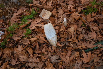 White plastic bottle in the pile of leaves. Environmental pollution background photo. polluted forest. pollution theme.