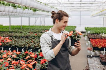 Young smiling man florist holding flowerpot and working in the greenhouse. Garden centre.