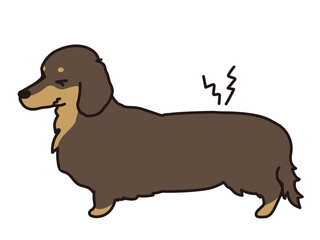 椎間板ヘルニア　痛がる犬　ダックスフンド