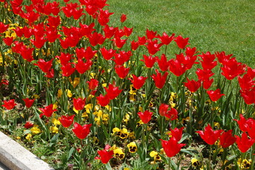 Fototapeta premium Istanbul