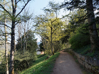 Markgräflerland Landschaft. Park und Botanischer Garten im Badenweiler Kurpark überragt von der mächtigen Burgruine