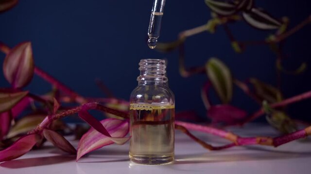 Blend of essential oils. Making some aroma liquids, perfume. Perfumery Essential Oil Product. Drops falling from cosmetic pipette to glass bottle. Skin and body care. Concept of Beauty Pharmaceutical.