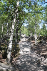 Wanderweg im Wald an den Tyssaer Wände Felswände in Tschechien 