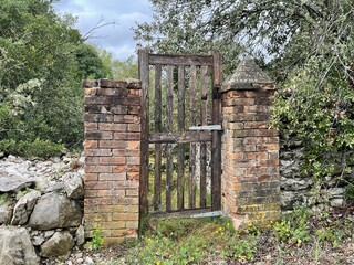 Flowers and trees south of france