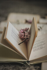 book and cherry blossom
