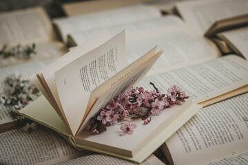 Books and spring