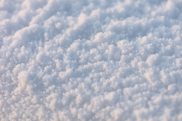 Beautiful texture of snow. Beautiful sunlight shows the texture and details of the snow