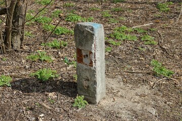 one old gray concrete restraining post stands in the ground among the green vegetation on the street