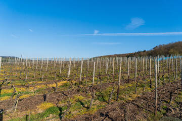 In der Gegend um Koblenz