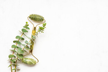 Green face roller from natural jade stone and eucalyptus branches on a white background. SPA concept