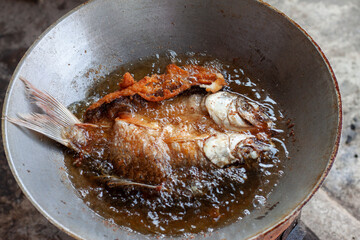 Fried Tilapia Fish in a big pan with hot oil on the vintage stove in the outdoor kitchen of the countryside.