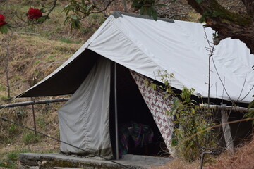 Picture of a camp in jungle and trees