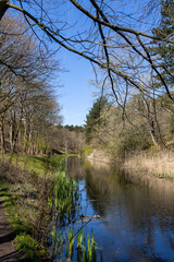 Fototapeta na wymiar A scenic water irrigation canal in the nature reserve Oranjezon in Het Zeeuwse Landschap