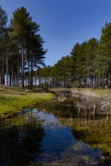 A scenic water place in the nature reserve Oranjezon in Het Zeeuwse Landschap