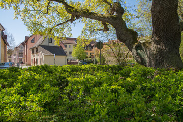 Fototapete bei efototapeten.de bestellen   