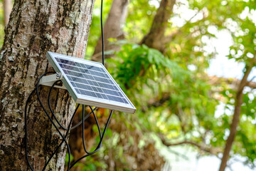 Renewable energy conception, small solar panel mounted on tree, blurred trees in background, green...