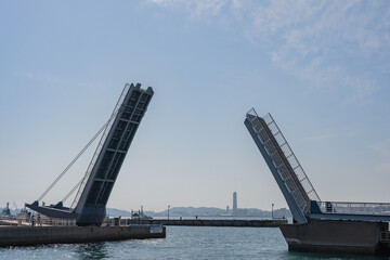 ブルーウィングもじ