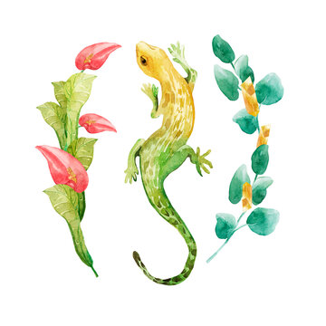 Set of watercolor lizard, parts of wreaths of green tropical leaves, flowers and gems. Elements are drawn by hand, print for clothes, postcards decor about nature, tropics, tatto