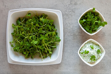 Fresh microgreens sprouts in bowl. Raw micro white mustard greens and  watercress with yoghurt dip.