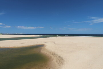 the estuary environment connects the lagoon to the ocean