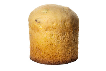 sponge cake isolated