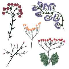 Set of isolated hand-drawn abstract colored flowers. Vector illustration of wild plants for decoration of cards, banner, invitations. Sakura branch, mimosa, lilac and red wild berries.