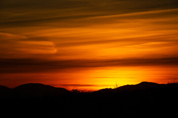 Obraz premium sunset in the desert