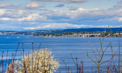 Lake And Floating Bridges