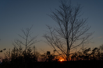 Naturaufnahme in der Umgebung von Koblenz