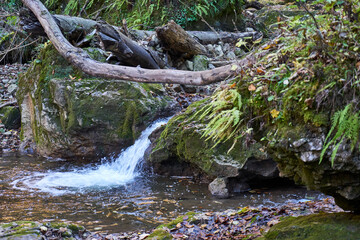 Fototapeta premium Image of a mountain stream in the autumn forest.