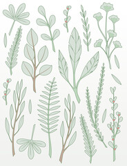 Leafs, twigs and branches