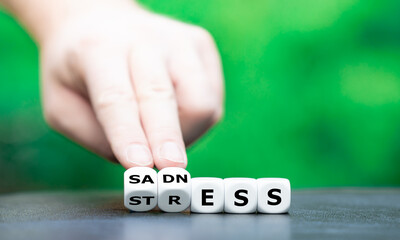 Dice form the words "sadness" and "stress".