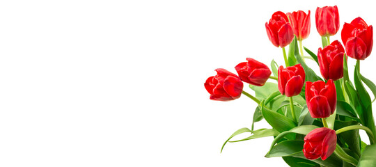 Rote Tulpen mit Raum für Text