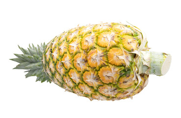 Ripe pineapple isolated on white background