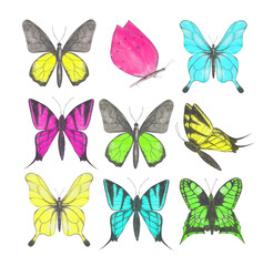 Set of 9 colorful butterflies clipart. Colorful collection of watercolor butterflies isolated on a white background. Hand-drawn exotic insect for your design. Colorful logo or tattoo design.