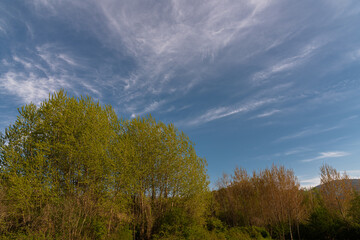 Landscapes of Molise. Glimpses of spring