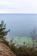 Drzewo na klifie z widokiem na morze Gdynia Orłowo